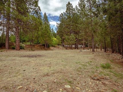 862 Willow Way, Greenville, CA 95947 Photo