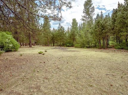 862 Willow Way, Greenville, CA 95947 Photo