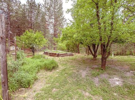 862 Willow Way, Greenville, CA 95947 Photo