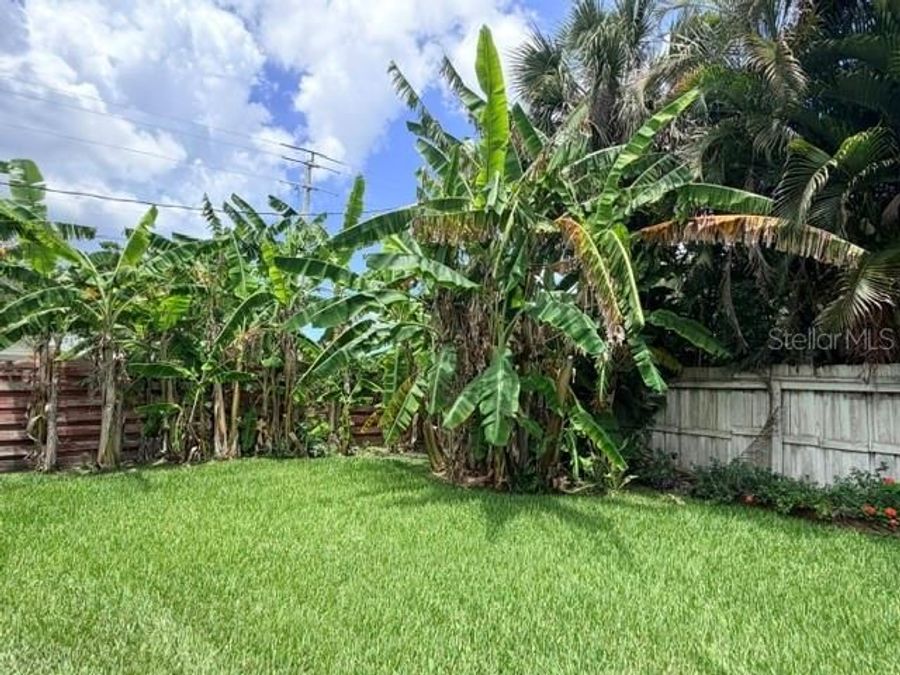 Property Image 74