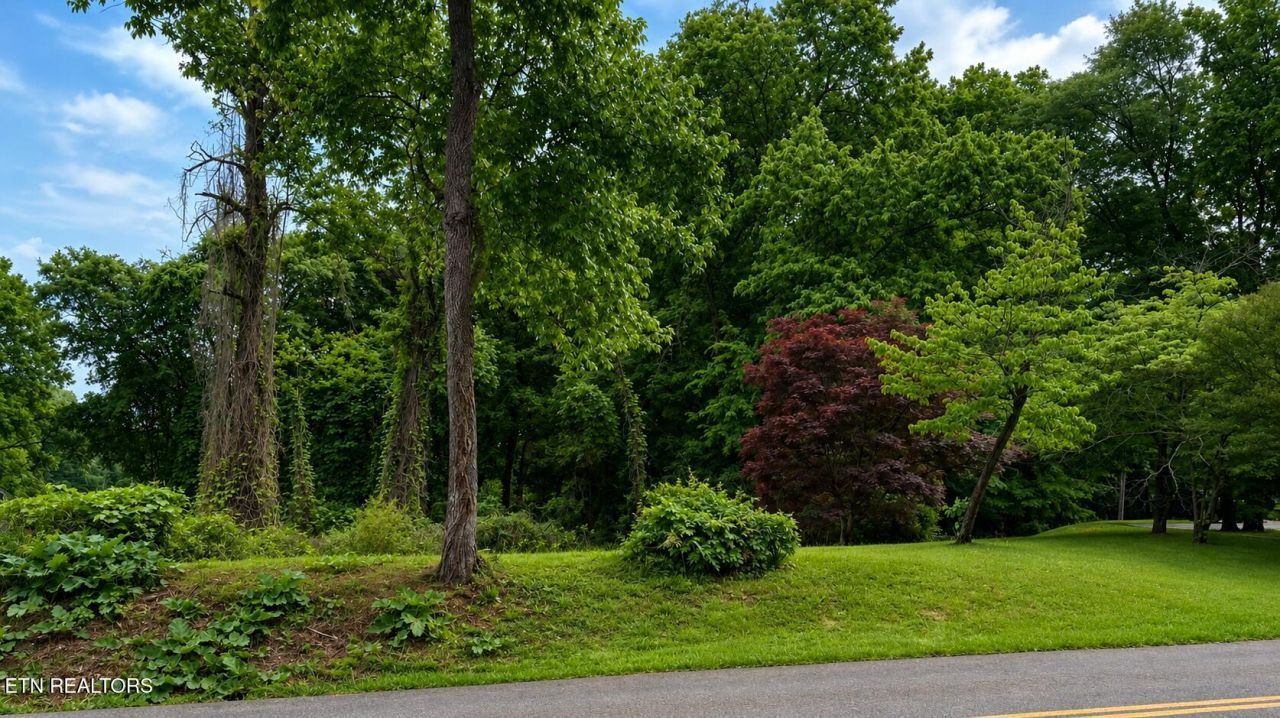 0 Dandridge Ave, Knoxville, TN 37915 Main Photo