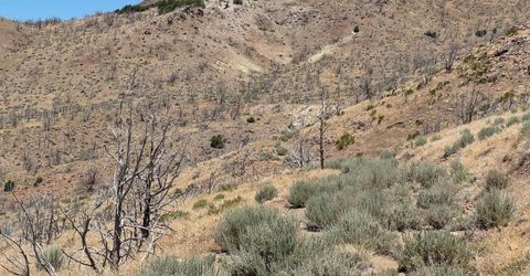 5 Wrangler Road, Reno, NV 89510 Photo