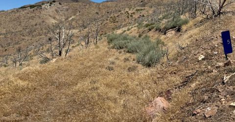 5 Wrangler Road, Reno, NV 89510 Photo