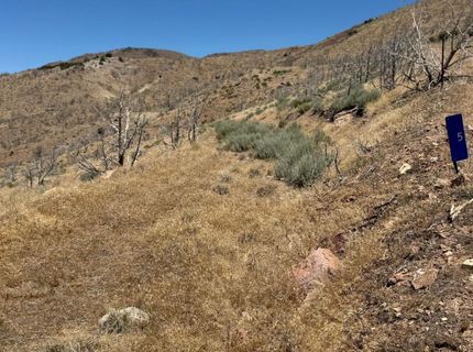 5 Wrangler Road, Reno, NV 89510 Photo