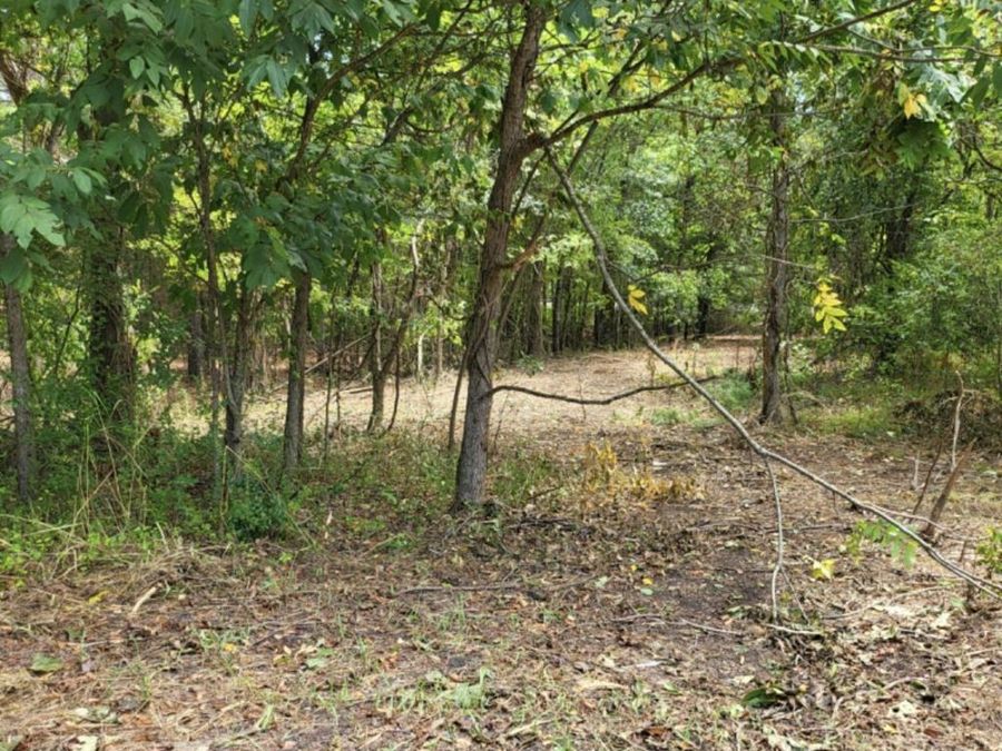 Property Image 31