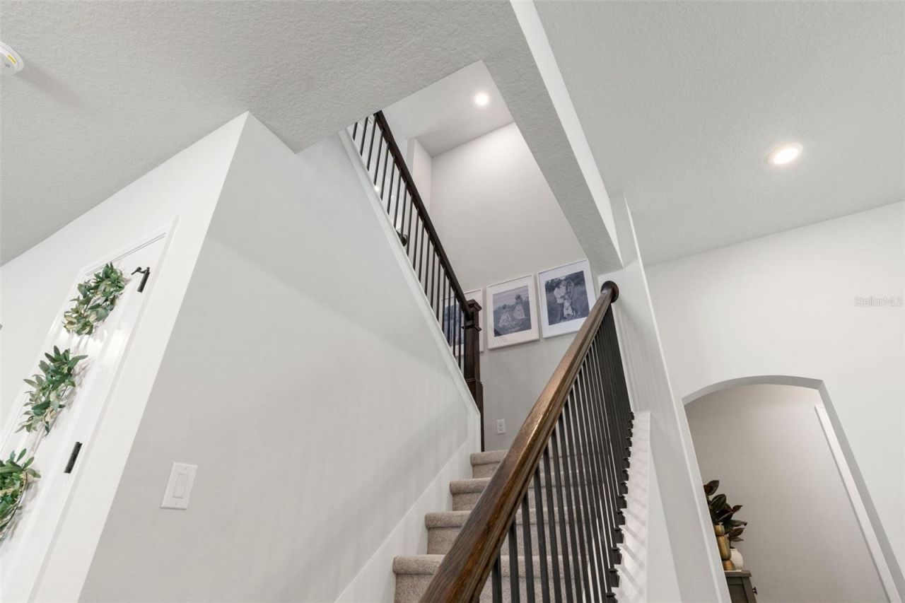 3497 Tour Trace, Land O Lakes, FL 34638 Photo