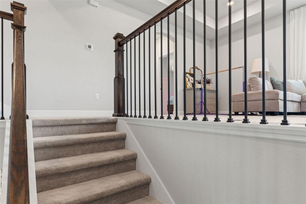 3497 Tour Trace, Land O Lakes, FL 34638 Photo