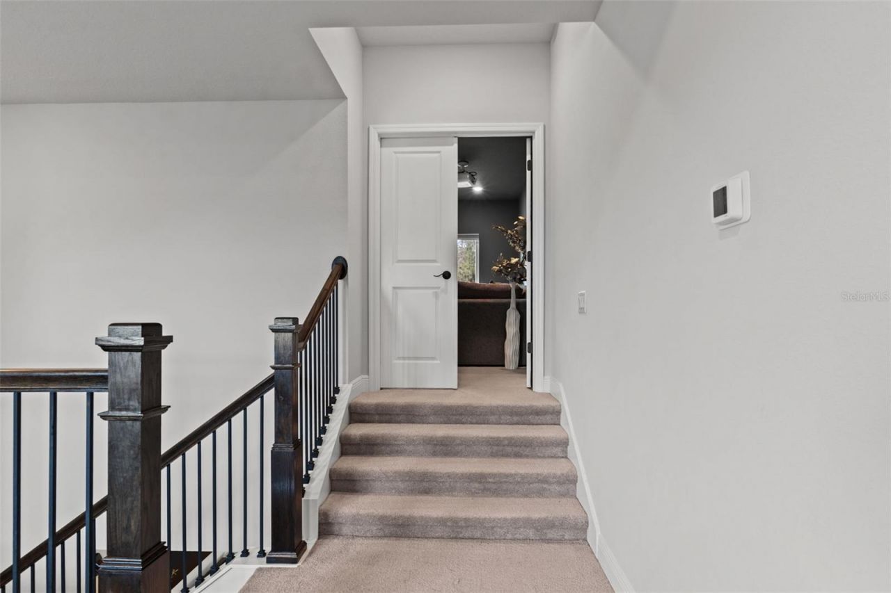 3497 Tour Trace, Land O Lakes, FL 34638 Photo