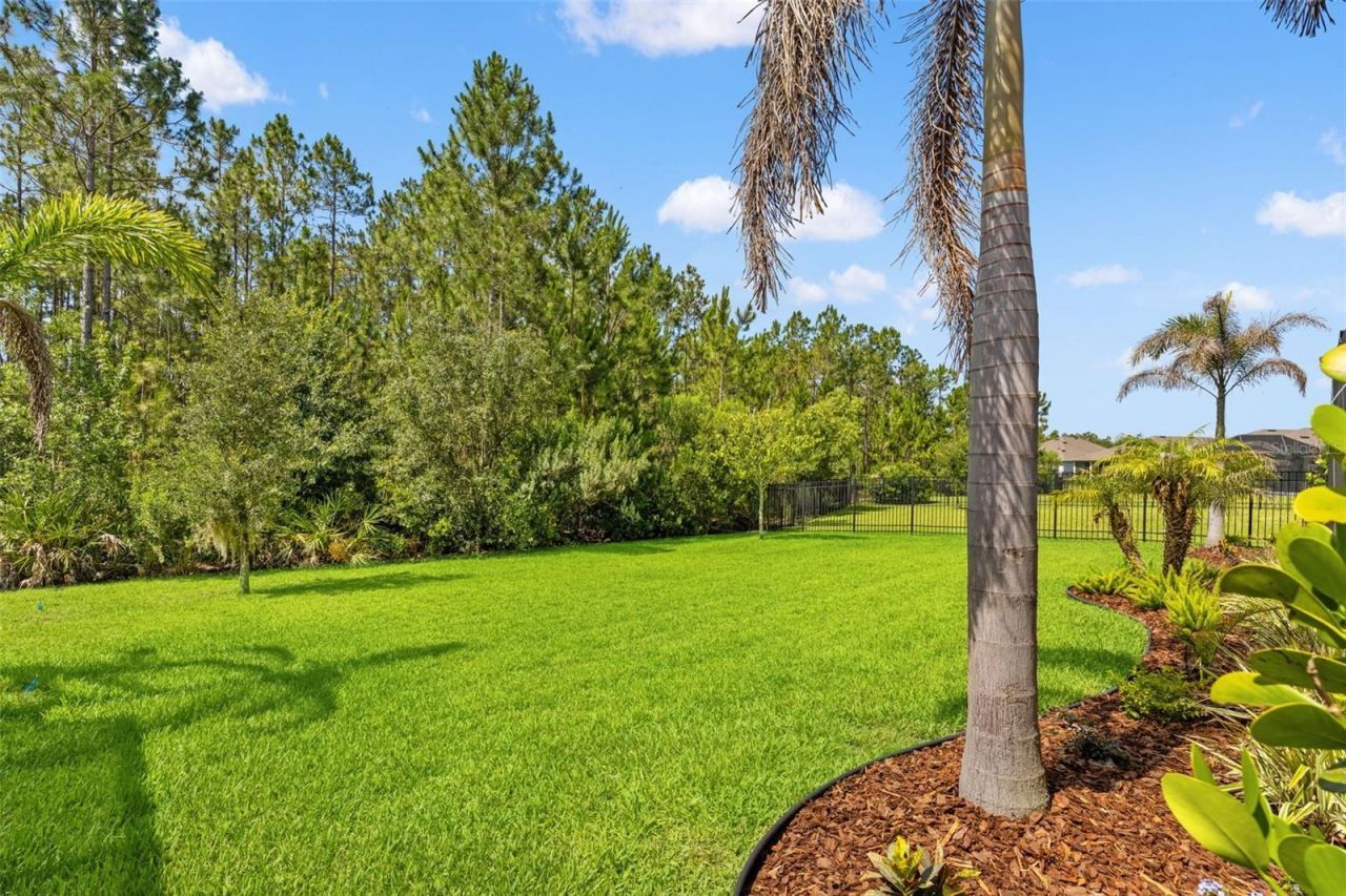 3497 Tour Trace, Land O Lakes, FL 34638 Photo
