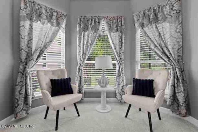1642 Crooked Oak Drive, Orange Park, FL 32065 Photo