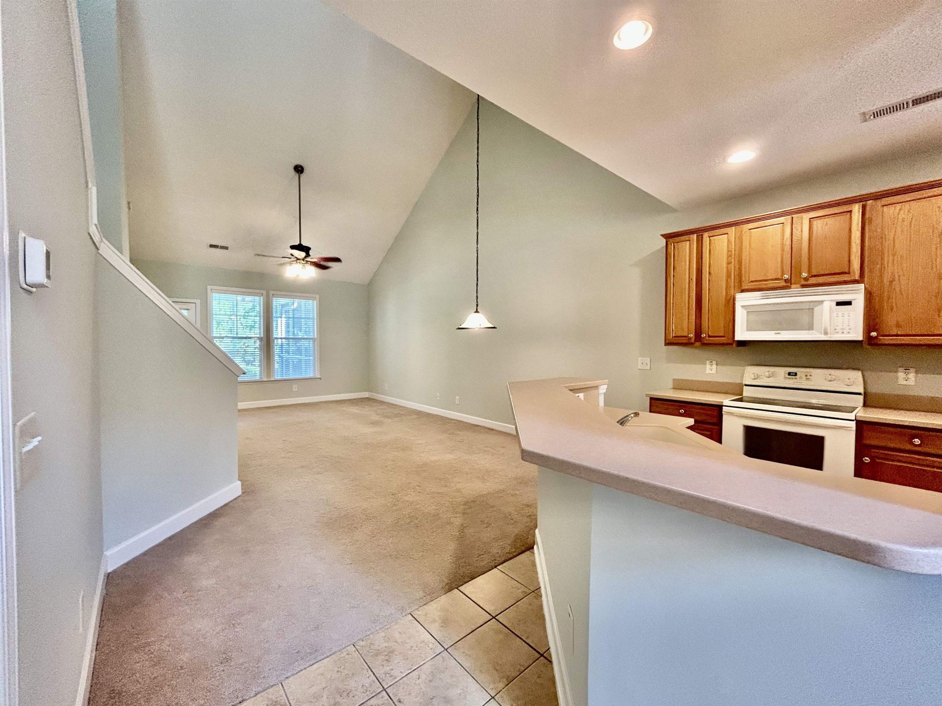 200 Mossy Stone Ct.  Photo 12