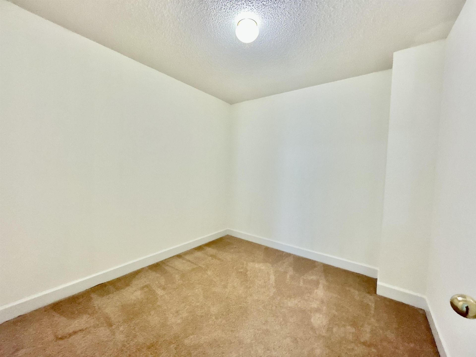 200 Mossy Stone Ct.  Photo 40