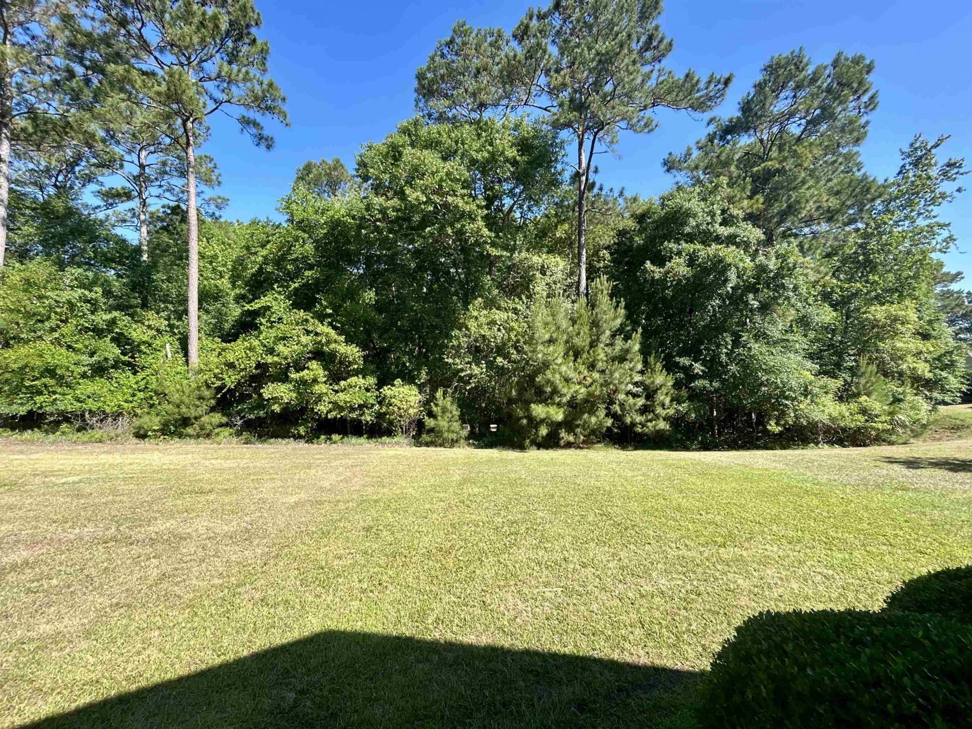 200 Mossy Stone Ct.  Photo 48