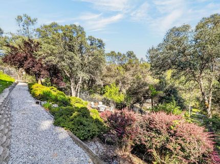 3291 Texas Hill Rd, Placerville, CA 95667 Photo