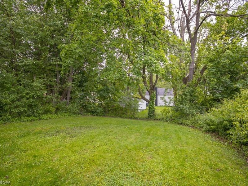 1258 Crestview Avenue, Akron, OH 44320 Photo 30