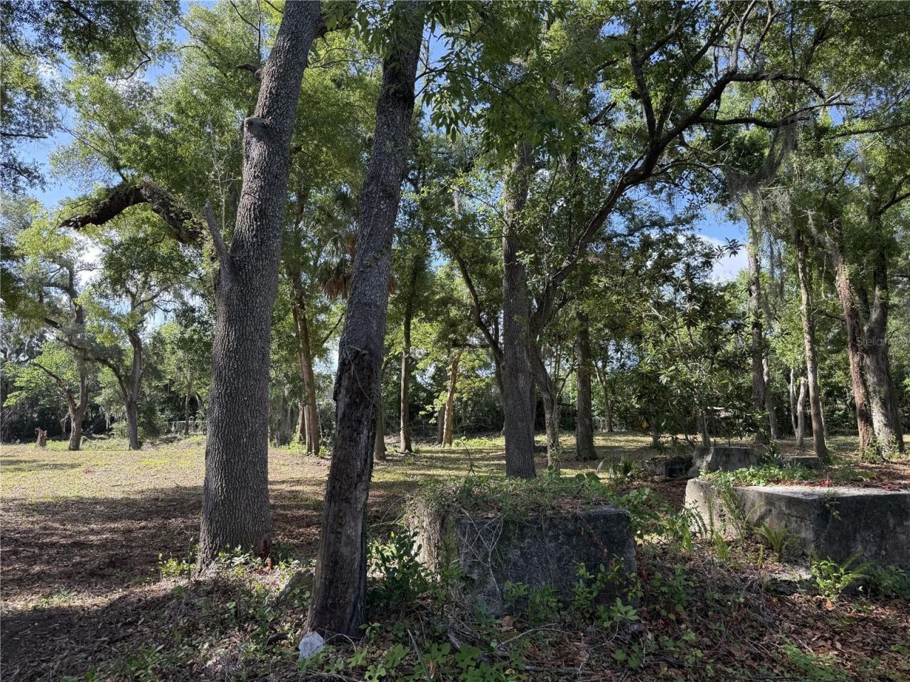521 E Clay Avenue, Brandon, FL 33510 Photo