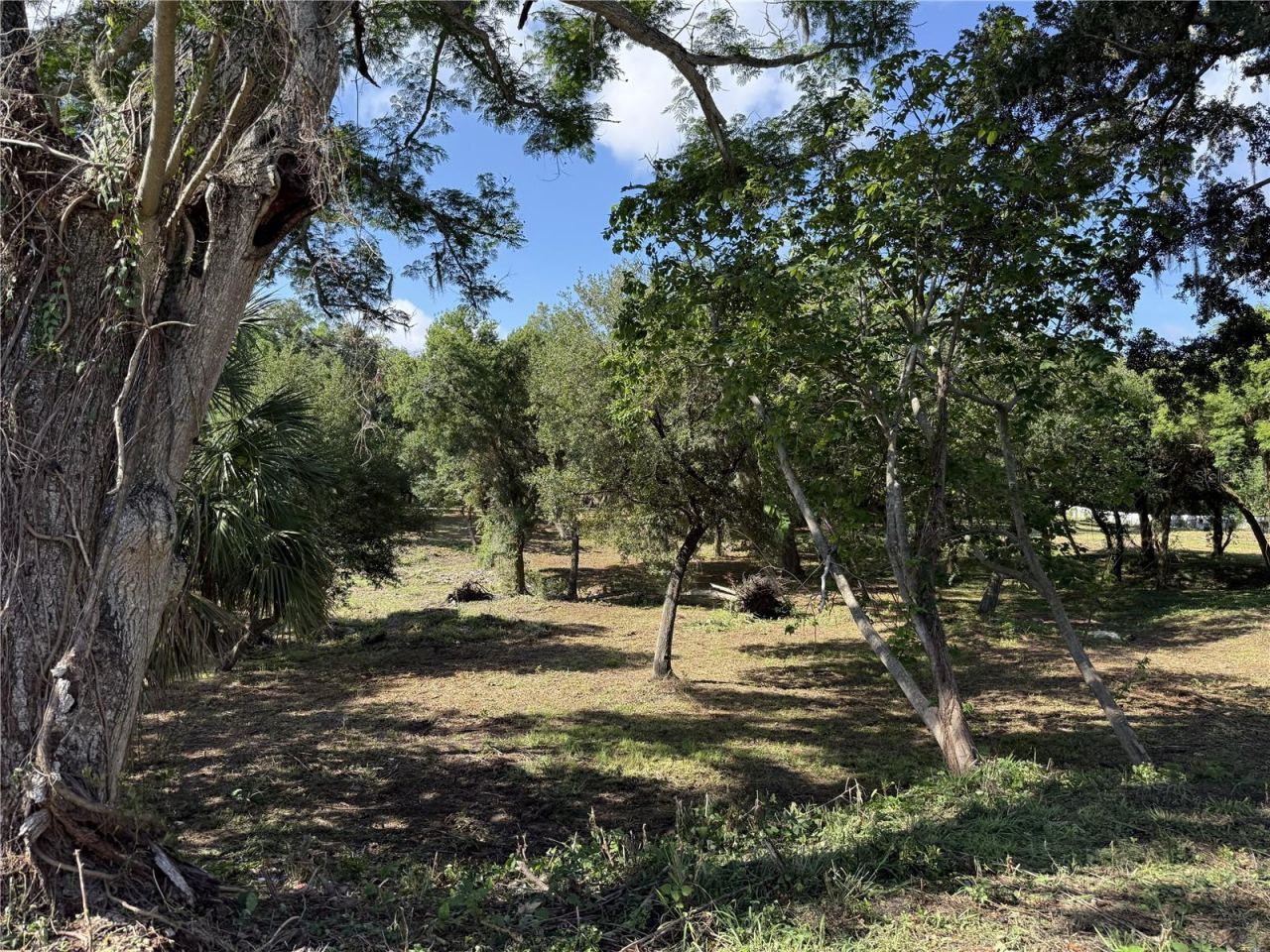 521 E Clay Avenue, Brandon, FL 33510 Photo
