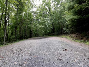LOT 168 FOREST RIDGE TRL, FORT VALLEY, VA 22652