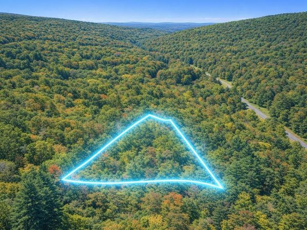 LOT 169 FOREST RIDGE TRL, FORT VALLEY, VA 22652