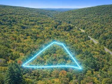 LOT 169 FOREST RIDGE TRL, FORT VALLEY, VA 22652