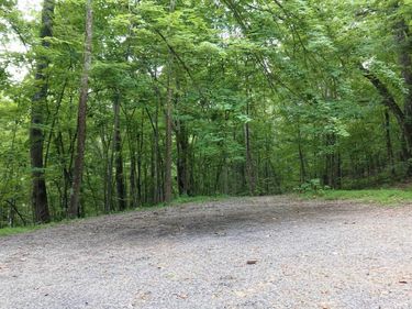 LOT 170 FOREST RIDGE TRL, FORT VALLEY, VA 22652