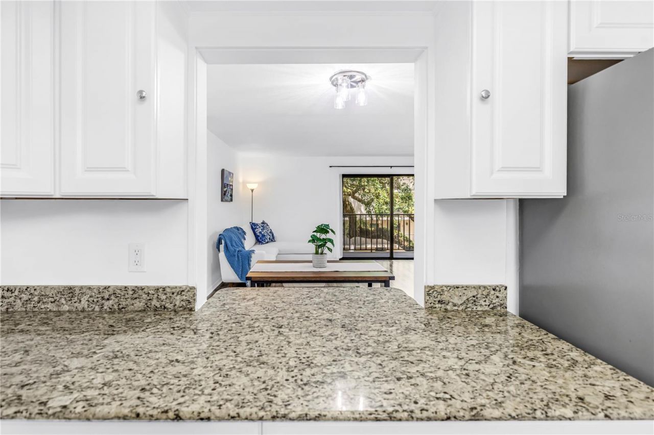105 4th Avenue Ne, Unit 220, Saint Petersburg, FL 33701 Photo