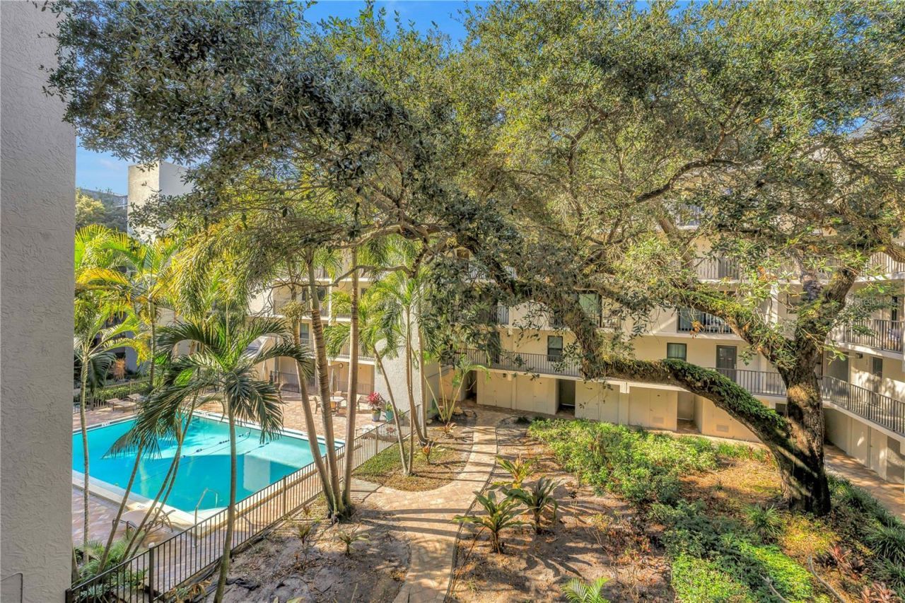 105 4th Avenue Ne, Unit 220, Saint Petersburg, FL 33701 Photo
