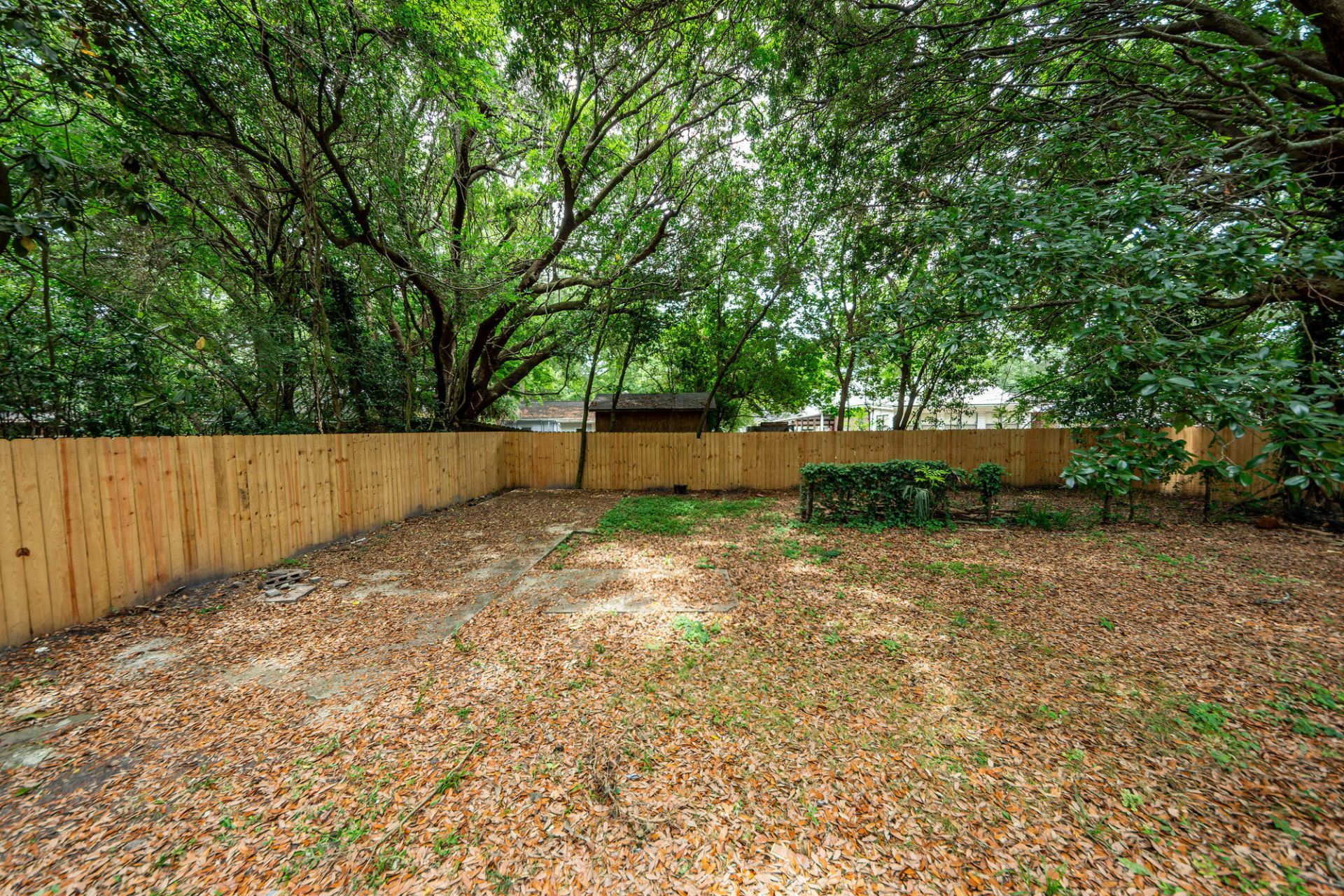 1621 Poinsettia Road Photo 31
