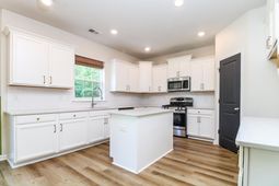 1006 Mossy Rock Drive photo 4
