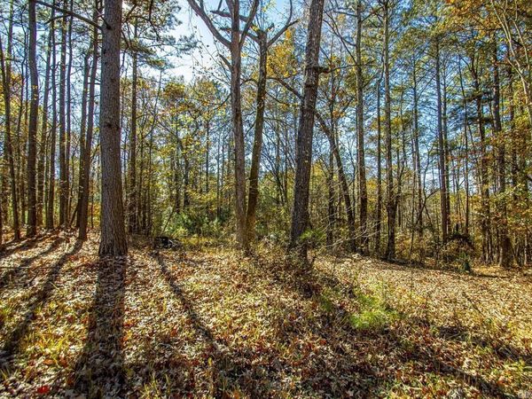 VIMY WOODS Drive , Alexander, AR 72022