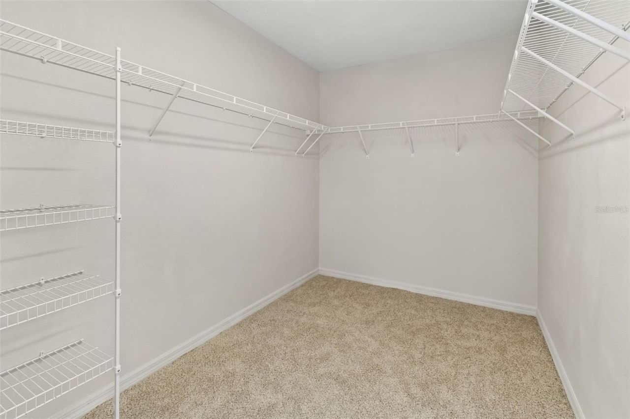 1192 Multiflora Loop , Lutz, FL 33558 Photo