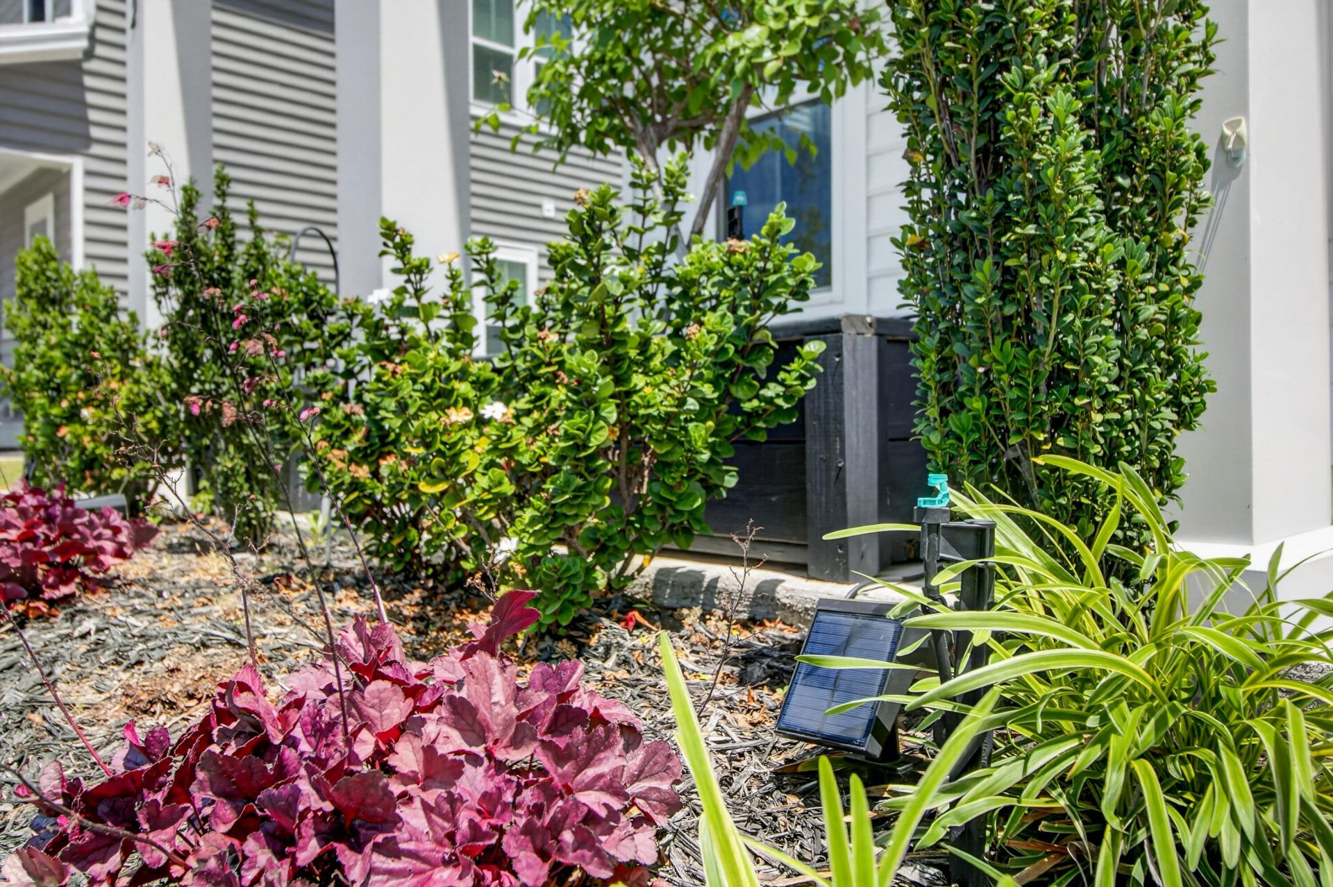 202 Narrowleaf Avenue Photo 12