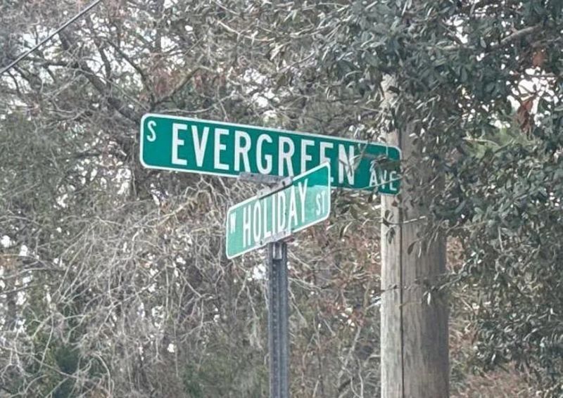 4708 S Evergreen Avenue , Other Florida, FL 34446 Photo