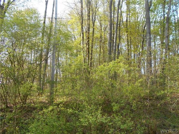 0 Neamon Drive , Delevan, NY 14042