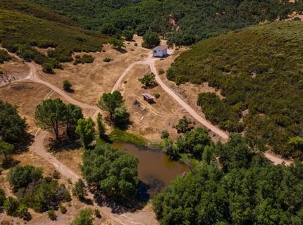 Stony Creek Rd, Jackson, CA 95642 Photo