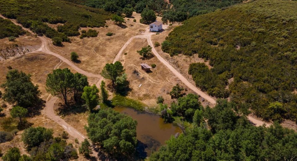 Stony Creek Rd, Jackson, CA 95642 Photo