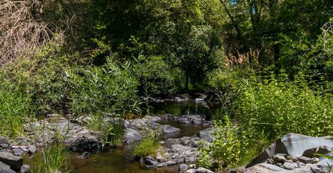 Stony Creek Rd, Jackson, CA 95642 Photo