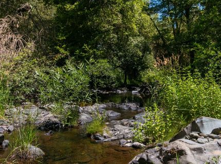 Stony Creek Rd, Jackson, CA 95642 Photo