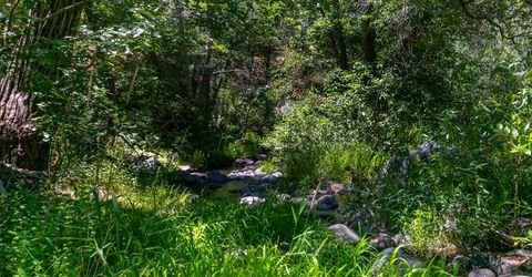 Stony Creek Rd, Jackson, CA 95642 Photo