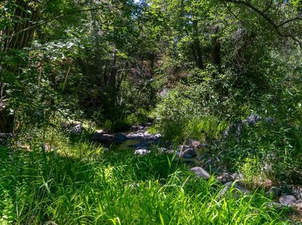 Stony Creek Rd, Jackson, CA 95642 Photo