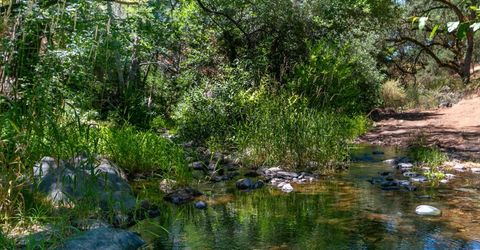 Stony Creek Rd, Jackson, CA 95642 Photo