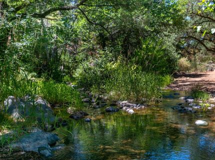Stony Creek Rd, Jackson, CA 95642 Photo