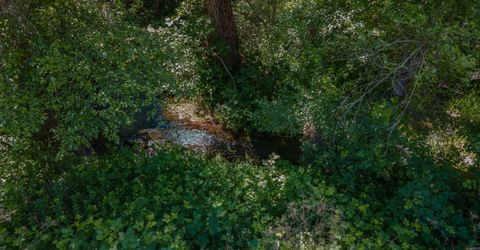 Stony Creek Rd, Jackson, CA 95642 Photo