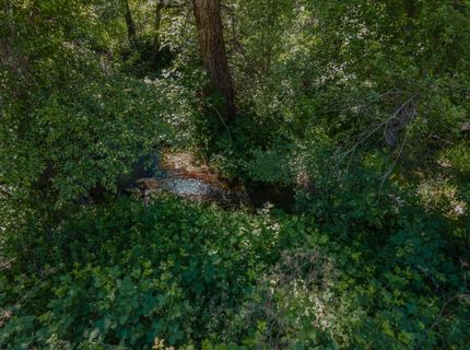 Stony Creek Rd, Jackson, CA 95642 Photo