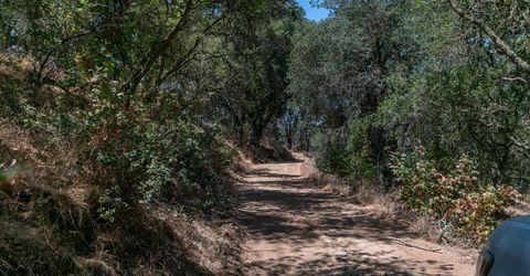 Stony Creek Rd, Jackson, CA 95642 Photo