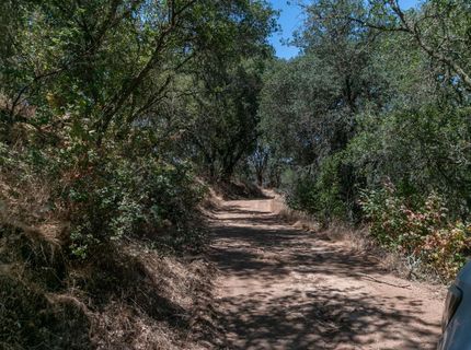 Stony Creek Rd, Jackson, CA 95642 Photo