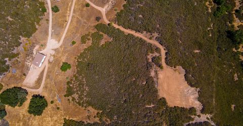 Stony Creek Rd, Jackson, CA 95642 Photo