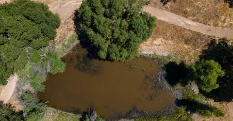 Stony Creek Rd, Jackson, CA 95642 Photo