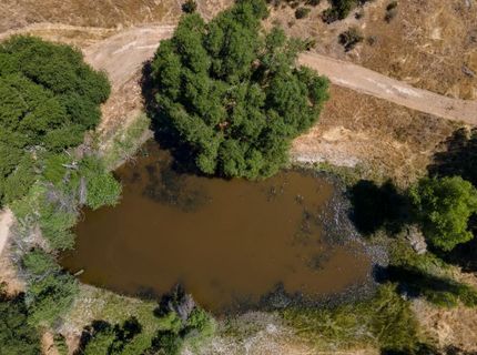 Stony Creek Rd, Jackson, CA 95642 Photo