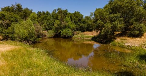 Stony Creek Rd, Jackson, CA 95642 Photo